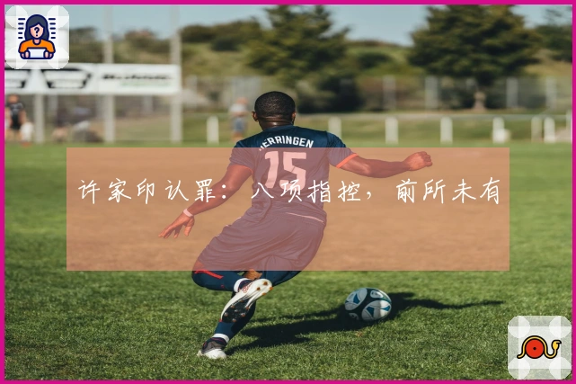 许家印认罪：八项指控，前所未有