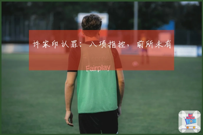 许家印认罪：八项指控，前所未有